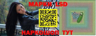 индика Гатчина
