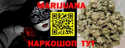 индика Гатчина