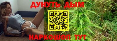 индика Гатчина