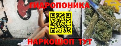 индика Гатчина