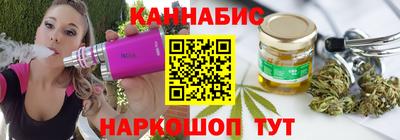 индика Гатчина