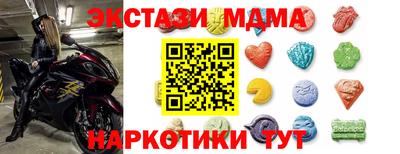 индика Гатчина