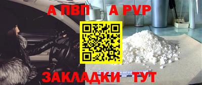 индика Гатчина