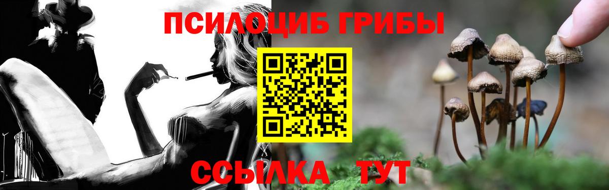 Псилоцибиновые грибы ЛСД  Галлюциногенные грибы Psilocybe  Вход с VPN  Тайшет 