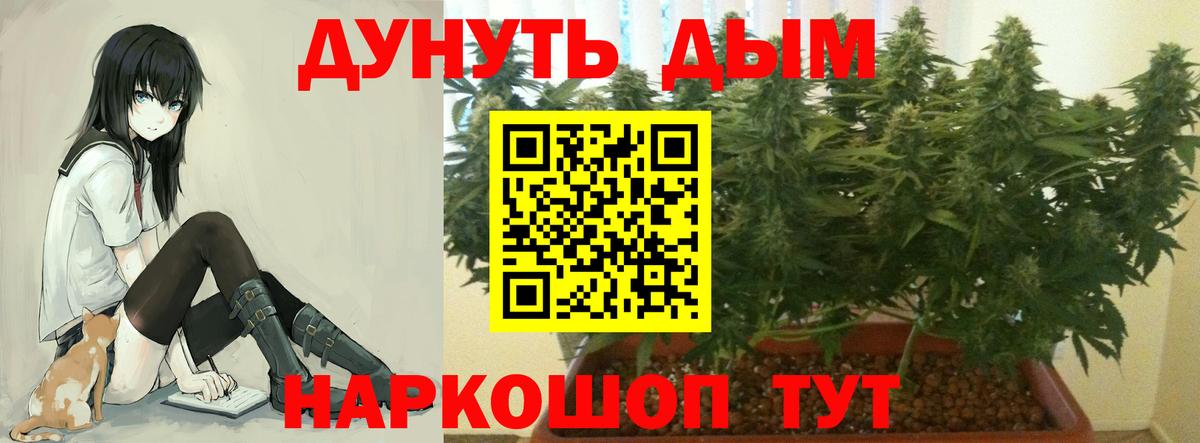 Бошки Шишки VHQ  Каннабис AK-47  Марихуана семена  Тайшет  Вход с VPN 